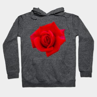 Red Rose Hoodie